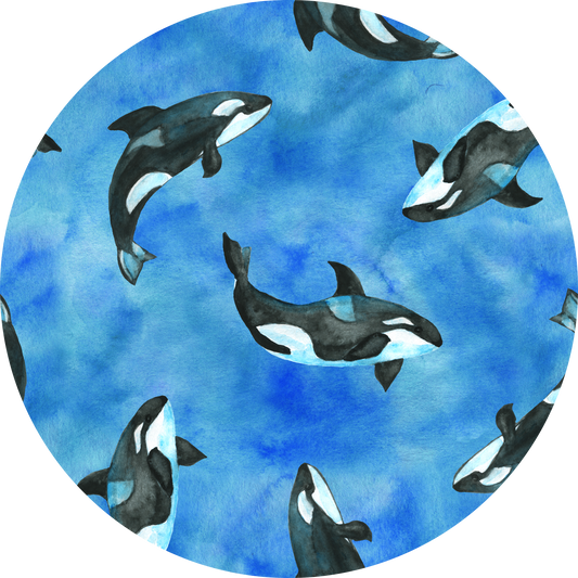 Orcas